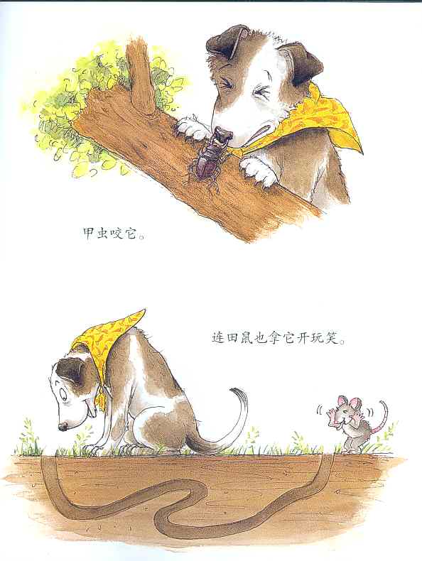像狼一样嚎叫 (09),绘本,绘本故事,绘本阅读,故事书,童书,图画书,课外阅读